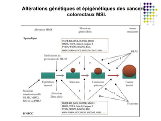 Altérations génétiques et épigénétiques des cancers
colorectaux MSI.
 