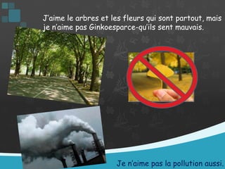 J’aime le arbres et les fleurs qui sont partout, mais je n’aime pas Ginkoesparce-qu’ils sent mauvais.  Je n’aime pas la pollution aussi.