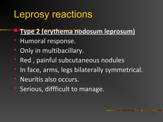  Type 2 (erythema nodosum leprosum)
Humoral response.
Only in multibacillary.
Red , painful subcutaneous nodules
In face, arms, legs bilaterally symmetrical.
Neuritis also occurs.
Serious, diffficult to manage.
Leprosy reactions
