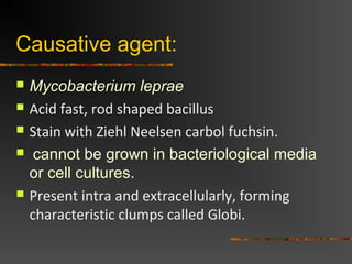 Causative agent:
 Mycobacterium leprae
 Acid fast, rod shaped bacillus
 Stain with Ziehl Neelsen carbol fuchsin.
 cann...