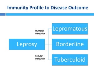 Immunity Profile to Disease Outcome
Leprosy
Lepromatous
Borderline
Tuberculoid
Humoral
Immunity
Cellular
Immunity
 