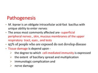 Pathogenesis
• M. leprae is an obligate intracellular acid-fast bacillus with
unique ability to enter nerves
• The areas most commonly affected are- superficial
peripheral nerves , skin, mucous membranes of the upper
respiratory tract, eyes , and tests
• 95% of people who are exposed do not develop disease
• Tissue damage is depend upon -
 the degree to which cell-mediated immunity is expressed
 the extent of bacillary spread and multiplication
 immunologic complication and
 nerve damage
 