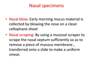 Nasal specimens
• Nasal blow: Early morning mucus material is
collected by blowing the nose on a clean
cellophane sheet
• Nasal scraping: By using a mucosal scraper to
scrape the nasal septum sufficiently so as to
remove a piece of mucous membrane ,
transferred onto a slide to make a uniform
smear.
 