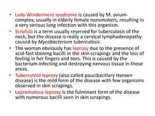 • Lady Windermere syndrome is caused by M. avium-
complex, usually in elderly female nonsmokers, resulting in
a very serious lung infection with this organism.
• Scrofula is a term usually reserved for tuberculosis of the
neck, but the disease is really a cervical lymphadenopathy
caused by Mycobacterium tuberculosis.
• The woman obviously has leprosy due to the presence of
acid-fast staining bacilli in the skin scrapings and the loss of
feeling in her fingers and toes. This is caused by the
bacterium infecting and destroying nervous tissue in these
areas.
• Tuberculoid leprosy (also called paucibacillary Hansen
disease) is the mild form of the disease with few organisms
observed in skin scrapings.
• Lepromatous leprosy is the fulminant form of the disease
with numerous bacilli seen in skin scrapings.
 