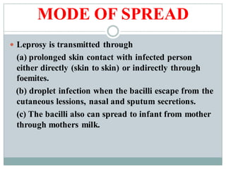MODE OF SPREAD
 Leprosy is transmitted through
(a) prolonged skin contact with infected person
either directly (skin to skin) or indirectly through
foemites.
(b) droplet infection when the bacilli escape from the
cutaneous lessions, nasal and sputum secretions.
(c) The bacilli also can spread to infant from mother
through mothers milk.
 