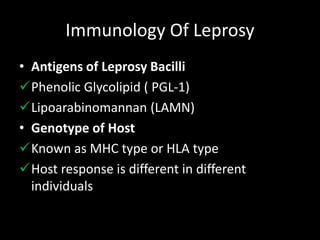 Immunology Of Leprosy
• Antigens of Leprosy Bacilli
Phenolic Glycolipid ( PGL-1)
Lipoarabinomannan (LAMN)
• Genotype of Host
Known as MHC type or HLA type
Host response is different in different
individuals
 