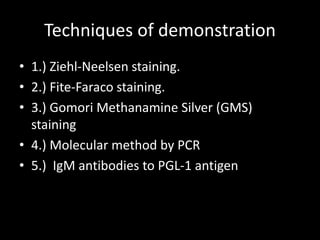 Techniques of demonstration
• 1.) Ziehl-Neelsen staining.
• 2.) Fite-Faraco staining.
• 3.) Gomori Methanamine Silver (GMS)
staining
• 4.) Molecular method by PCR
• 5.) IgM antibodies to PGL-1 antigen
 