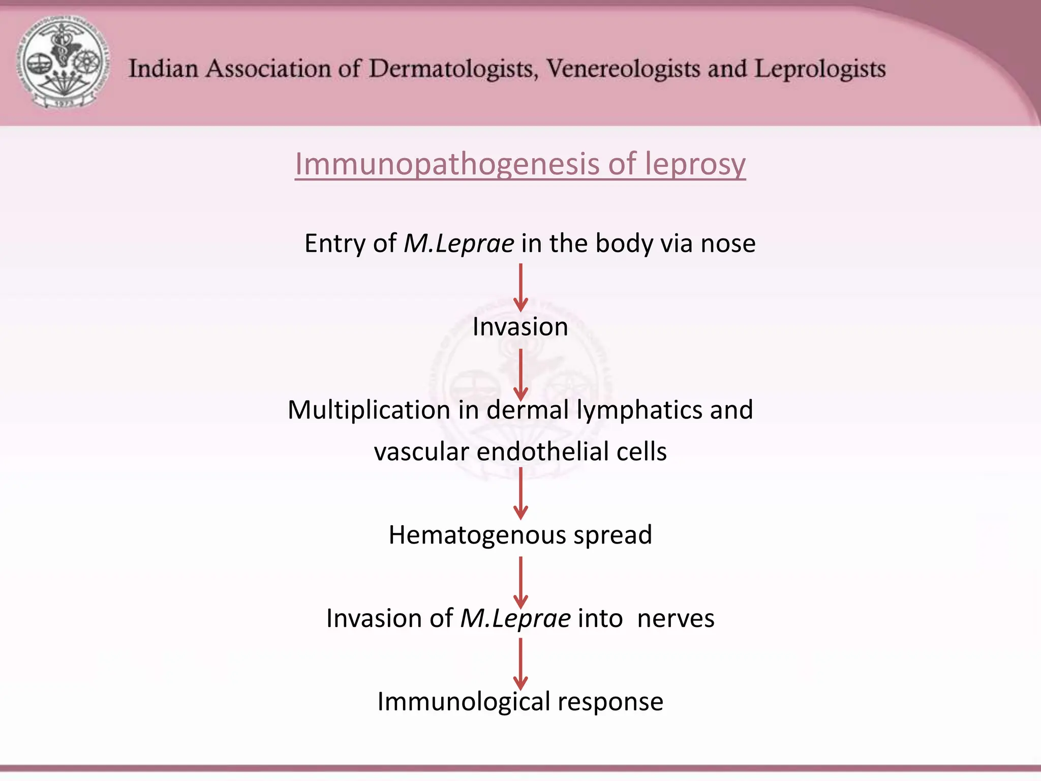 LEPROSY dermatology microbiology - hansen | PPTX