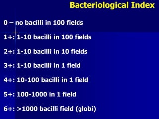 0 – no bacilli in 100 fields
1+: 1-10 bacilli in 100 fields
2+: 1-10 bacilli in 10 fields
3+: 1-10 bacilli in 1 field
4+: 10-100 bacilli in 1 field
5+: 100-1000 in 1 field
6+: >1000 bacilli field (globi).
Bacteriological Index
 