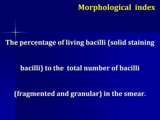 The percentage of living bacilli (solid staining
bacilli) to the total number of bacilli
(fragmented and granular) in the smear.
Morphological index
 
