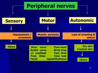 Peripheral nerves
Sensory Motor Autonomic
Hypoaestesia /
anaestesia
Muscle paralysis Lack of sweating &
sebum
Ulcers Ulnar nerve Claw hand
Radial nerve Wrist drop
Lt. popliteal Foot drop
Post. tibial Claw toes
Facial lagophthalmous
Dry skin
Cracked skin
Ulcers
49
 