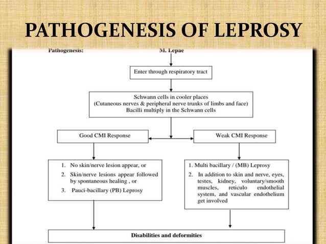 leprosy final.pptx