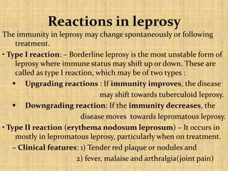 Reactions in leprosy
The immunity in leprosy may change spontaneously or following
treatment.
• Type I reaction: – Borderline leprosy is the most unstable form of
leprosy where immune status may shift up or down. These are
called as type I reaction, which may be of two types :
 Upgrading reactions : If immunity improves, the disease
may shift towards tuberculoid leprosy.
 Downgrading reaction: If the immunity decreases, the
disease moves towards lepromatous leprosy.
• Type II reaction (erythema nodosum leprosum) – It occurs in
mostly in lepromatous leprosy, particularly when on treatment.
– Clinical features: 1) Tender red plaque or nodules and
2) fever, malaise and arthralgia(joint pain)
 
