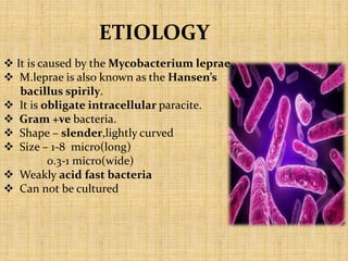 ETIOLOGY
 It is caused by the Mycobacterium leprae.
 M.leprae is also known as the Hansen’s
bacillus spirily.
 It is obligate intracellular paracite.
 Gram +ve bacteria.
 Shape – slender,lightly curved
 Size – 1-8 micro(long)
0.3-1 micro(wide)
 Weakly acid fast bacteria
 Can not be cultured
 