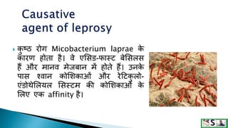  क
ु ष्ठ रोग Micobacterium laprae क
े
कारण होता है। वे एशसि-फास्ट बेशसलस
हैं और मानव मेजबान में होते हैं। उनक
े
पास श्वान कोशिकाओं और रेटटक
ु लो-
एंिोथेशलयल शसस्टम की कोशिकाओं क
े
शलए एक affinity है।
 
