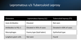 Lepromatous v/s Tuberculoid Leprosy
Characters Lepromatous leprosy (LL) Tuberculoid leprosy (TT)
Auto Antibodies Elevated Not seen
Antibodies to PGL-1 Elevated in 95% of cases Elevated in 60% of cases
Macrophages Foamy type (lipid laden) Epithelioid type
Langhans giant cells Not seen Found
 