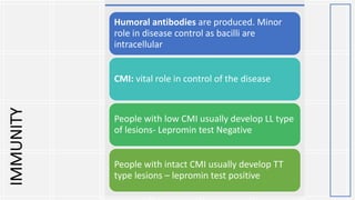 IMMUNITY Humoral antibodies are produced. Minor
role in disease control as bacilli are
intracellular
CMI: vital role in control of the disease
People with low CMI usually develop LL type
of lesions- Lepromin test Negative
People with intact CMI usually develop TT
type lesions – lepromin test positive
 