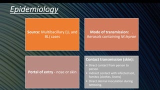 Epidemiology
Source: Multibacillary (LL and
BL) cases
Mode of transmission: .
Aerosols containing M.leprae
Portal of entry - nose or skin
Contact transmission (skin):
• Direct contact from person to
person
• Indirect contact with infected soil,
fomites (clothes, linens)
• Direct dermal inoculation during
tattooing.
 