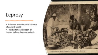 Leprosy
• A chronic mycobacterial disease
of ancient world.
• First bacterial pathogen of
human to have been described.
 