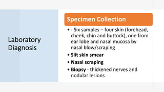 Laboratory
Diagnosis
Specimen Collection
• - Six samples – four skin (forehead,
cheek, chin and buttock), one from
ear lobe and nasal mucosa by
nasal blow/scraping
• Slit skin smear
• Nasal scraping
• Biopsy - thickened nerves and
nodular lesions
 
