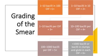 Grading
of the
Smear
1–10 bacilli in 100
OIF =1+
1–10 bacilli in 10
OIF = 2+
1–10 bacilli per OIF
= 3+
10–100 bacilli per
OIF = 4+
100–1000 bacilli
per OIF = 5+
>1000 bacilli or
bacilli in clumps
and globi in each
OIF = 6+
 