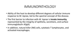 IMMUNOPATHOLOGY
• Ability of the host to develop different degrees of cellular immune
response to M. leprae, led to the sp...