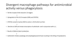 Phagocytic pathway
• IL-10 induces
↓
• A scavenger receptor program
↓
• Resulting in enhanced phagocytosis of mycobacteria...