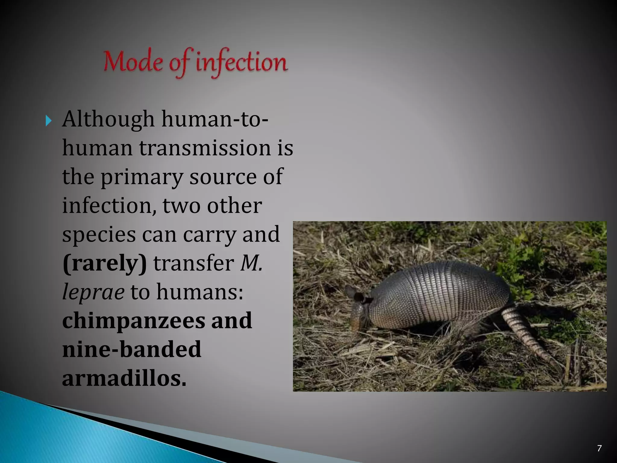 Leprosy & Syphilis | PPTX