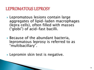  Lepromatous lesions contain large
aggregates of lipid-laden macrophages
(lepra cells), often filled with masses
(“globi”) of acid-fast bacilli.
 Because of the abundant bacteria,
lepromatous leprosy is referred to as
“multibacillary”.
 Lepromin skin test is negative.
18
 
