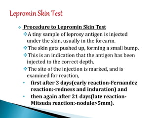  Procedure to Lepromin Skin Test
A tiny sample of leprosy antigen is injected
under the skin, usually in the forearm.
The skin gets pushed up, forming a small bump.
This is an indication that the antigen has been
injected to the correct depth.
The site of the injection is marked, and is
examined for reaction,
• first after 3 days(early reaction-Fernandez
reaction:-redness and induration) and
• then again after 21 days(late reaction-
Mitsuda reaction:-nodule>5mm).
 