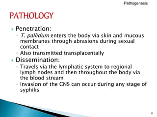 37
 Penetration:
◦ T. pallidum enters the body via skin and mucous
membranes through abrasions during sexual
contact
◦ Also transmitted transplacentally
 Dissemination:
◦ Travels via the lymphatic system to regional
lymph nodes and then throughout the body via
the blood stream
◦ Invasion of the CNS can occur during any stage of
syphilis
Pathogenesis
 