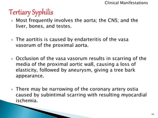  Most frequently involves the aorta; the CNS; and the
liver, bones, and testes.
 The aortitis is caused by endarteritis of the vasa
vasorum of the proximal aorta.
 Occlusion of the vasa vasorum results in scarring of the
media of the proximal aortic wall, causing a loss of
elasticity, followed by aneurysm, giving a tree bark
appearance.
 There may be narrowing of the coronary artery ostia
caused by subintimal scarring with resulting myocardial
ischemia.
43
Clinical Manifestations
 