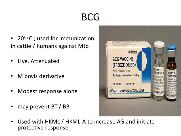 Natural History Of Bcg Vaccine Natural History Of Bcg Vaccine
