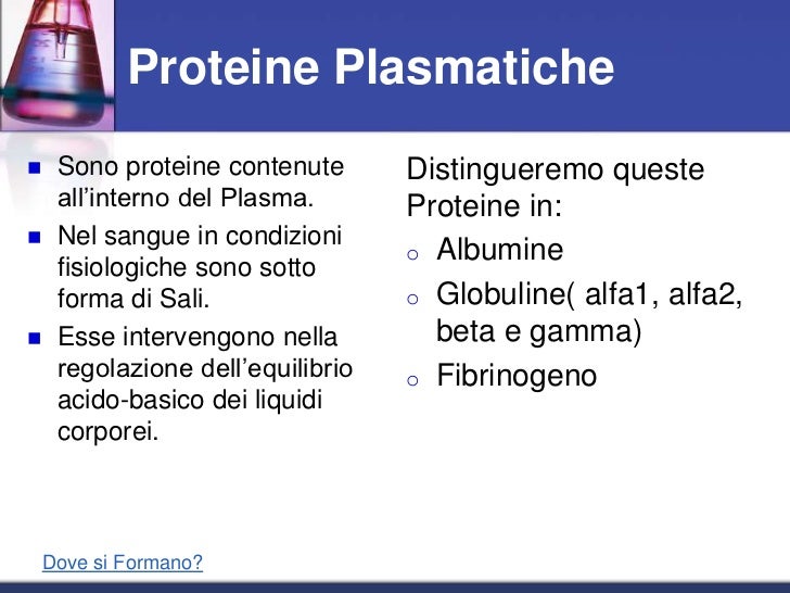 Le proteine plasmatiche