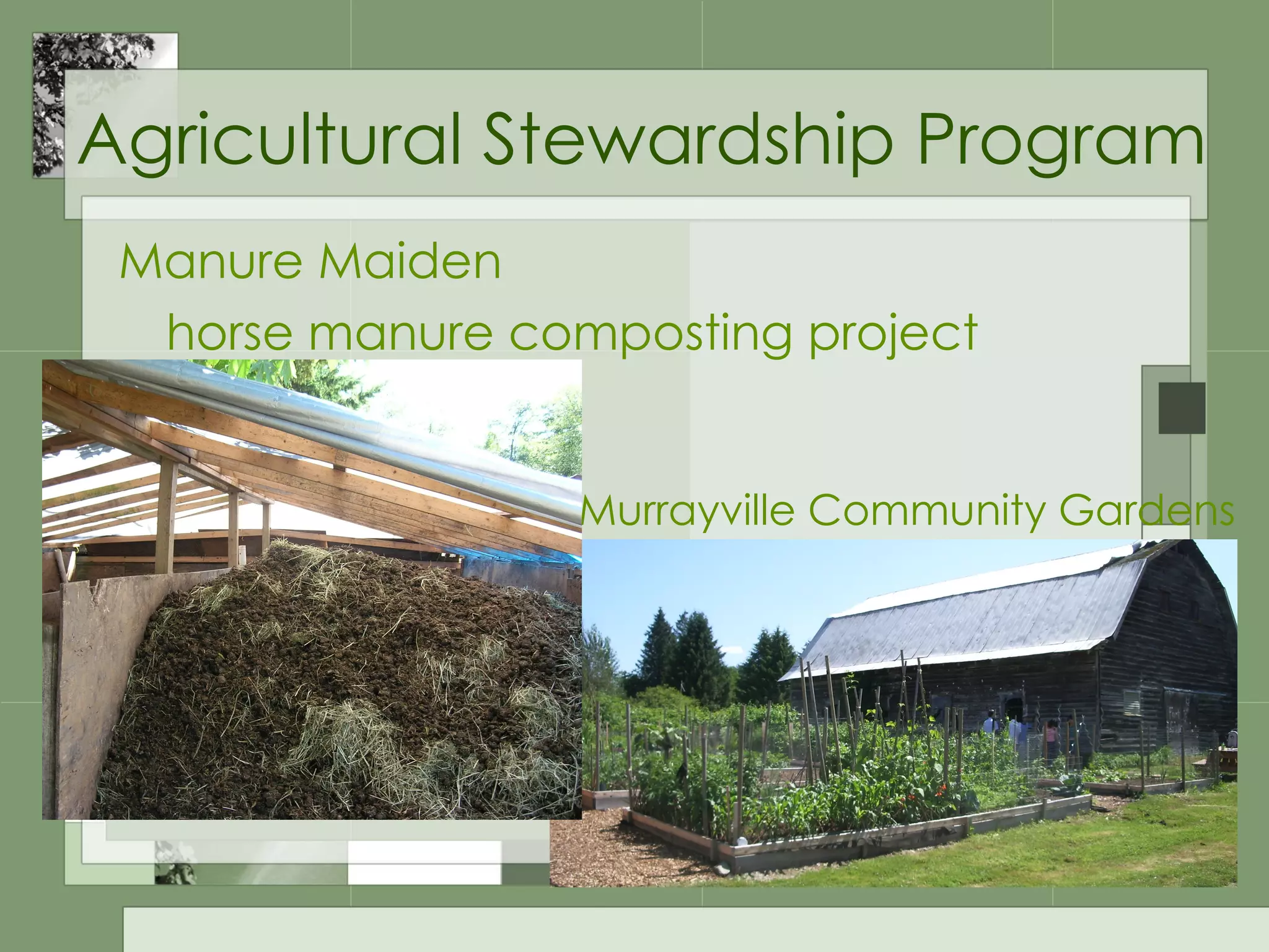 Agricultural Stewardship Program Manure Maiden horse manure composting project Murrayville Community Gardens 