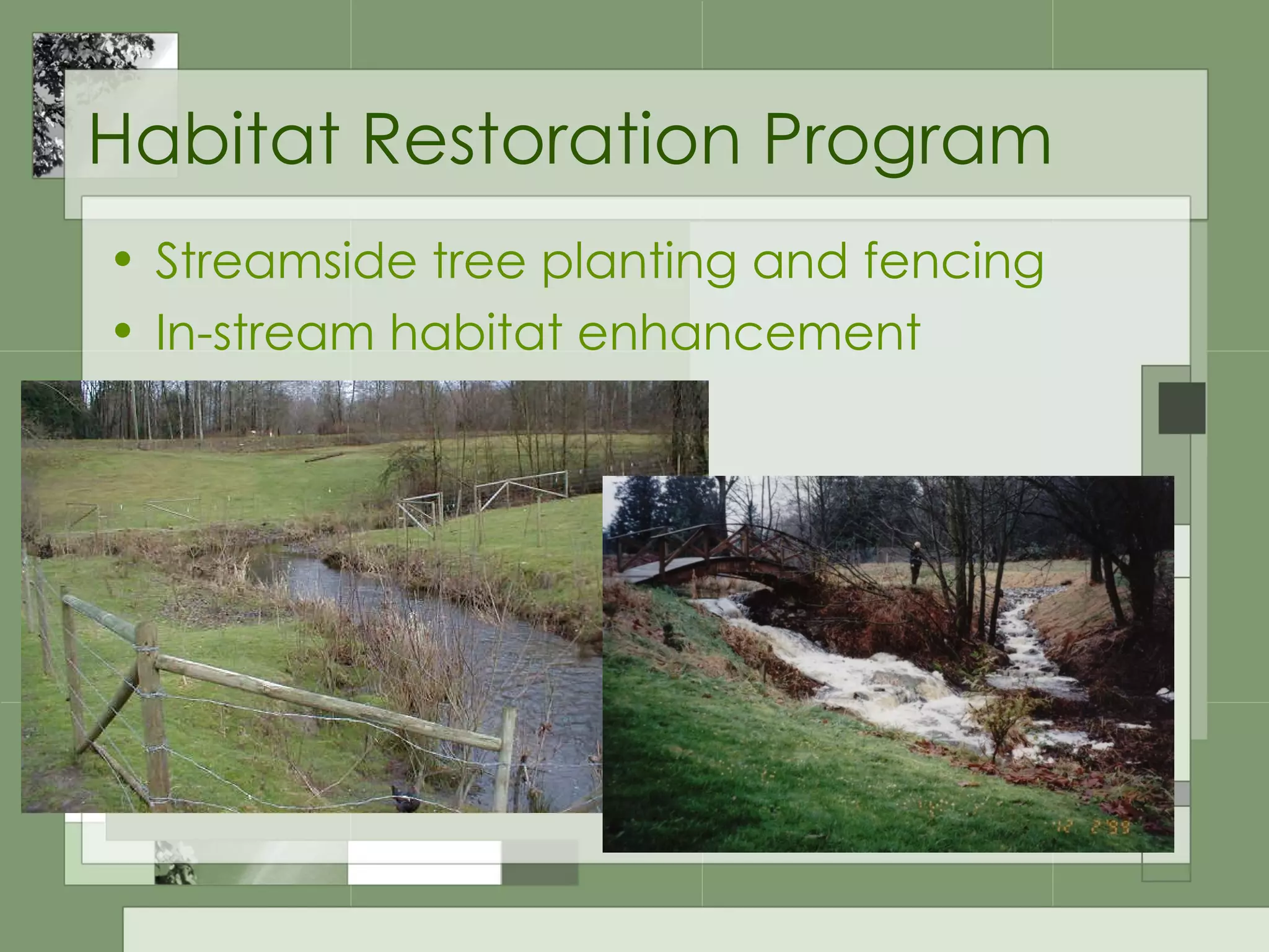 Habitat Restoration Program Streamside tree planting and fencing In-stream habitat enhancement 
