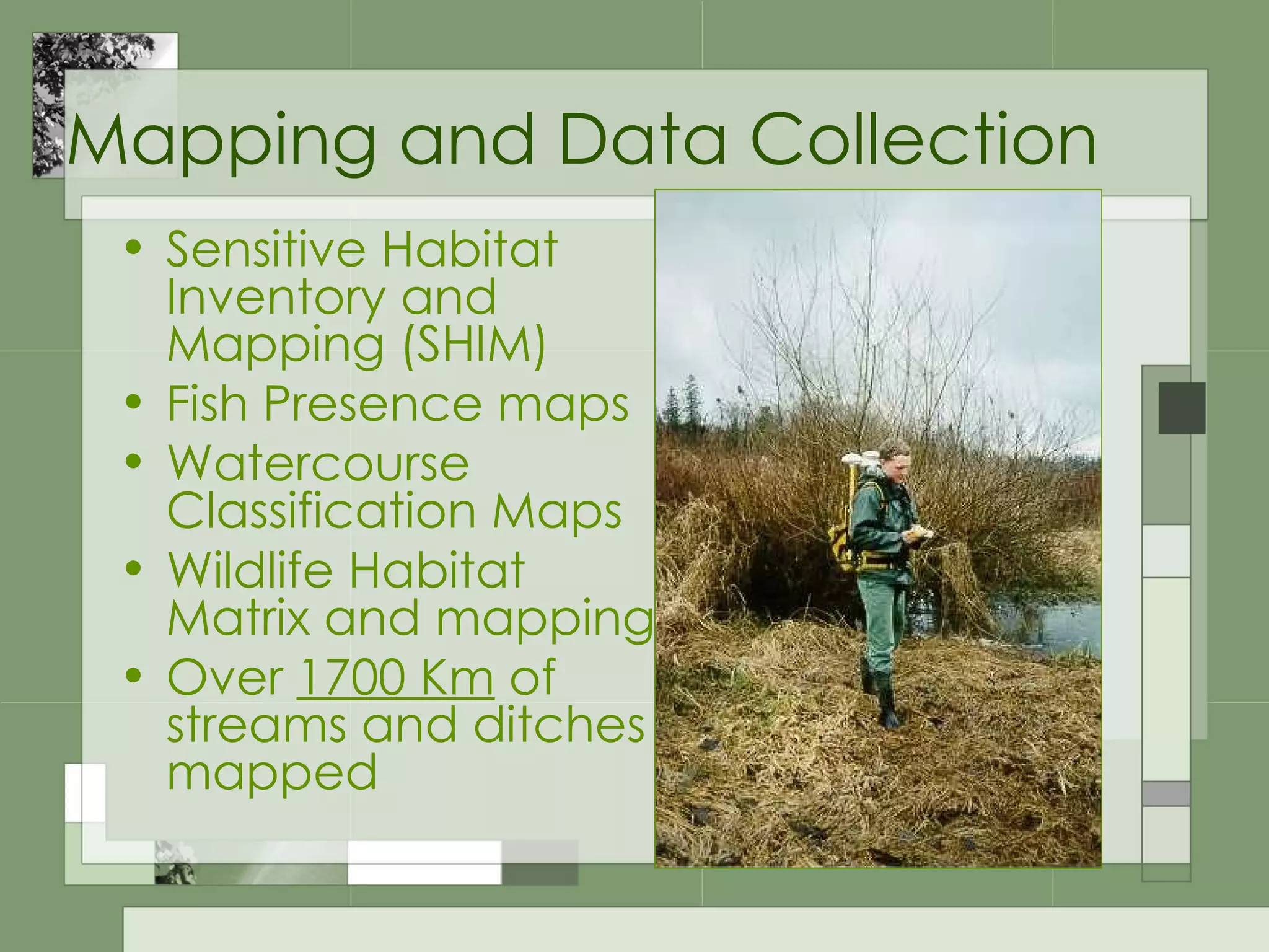Mapping and Data Collection Sensitive Habitat Inventory and Mapping (SHIM)  Fish Presence maps Watercourse Classification Maps Wildlife Habitat Matrix and mapping Over  1700 Km  of streams and ditches mapped 