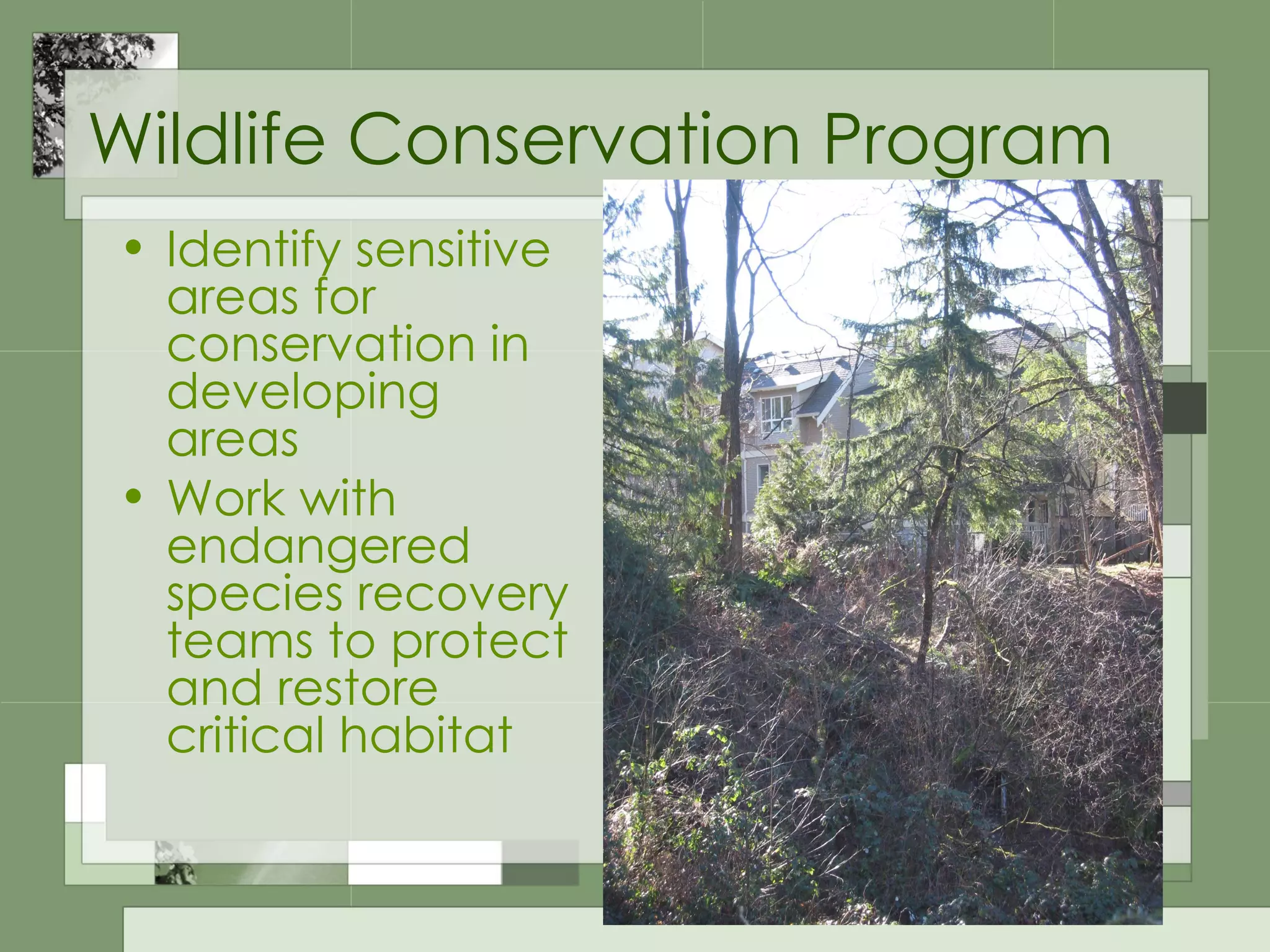 Wildlife Conservation Program Identify sensitive areas for conservation in developing areas Work with endangered species recovery teams to protect and restore critical habitat 