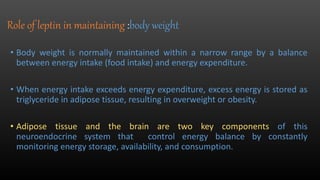 Leptin | PPTX