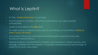 What is Leptin? 
• It’s the “satiety hormone” in our body. 
• Human leptin is a 16 kDa, 146 amino acid residue, non-glycosylated 
polypeptide. 
• Leptin is encoded by the ob gene. 
• Its major source is adipose tissue, and its circulating concentrations indirectly 
reflect body fat stores. 
• Circulates in the body eventually activating leptin receptors in Arcuate 
Nucleus of Hypothalamus. 
• Plasma or serum concentrations of leptin are increased in obese humans and 
strongly correlate with the degree of adiposity as expressed by percentage of 
body fat or body mass index. 
 