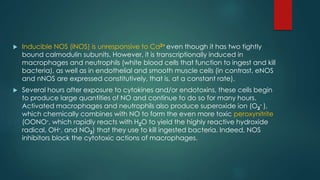  Inducible NOS (iNOS) is unresponsive to Ca2+ even though it has two tightly 
bound calmodulin subunits. However, it is transcriptionally induced in 
macrophages and neutrophils (white blood cells that function to ingest and kill 
bacteria), as well as in endothelial and smooth muscle cells (in contrast, eNOS 
and nNOS are expressed constitutively, that is, at a constant rate). 
 Several hours after exposure to cytokines and/or endotoxins, these cells begin 
to produce large quantities of NO and continue to do so for many hours. 
Activated macrophages and neutrophils also produce superoxide ion (O2 
- ), 
which chemically combines with NO to form the even more toxic peroxynitrite 
(OONO-, which rapidly reacts with H2O to yield the highly reactive hydroxide 
radical, OH-, and NO2) that they use to kill ingested bacteria. Indeed, NOS 
inhibitors block the cytotoxic actions of macrophages. 
 