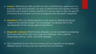  Cancer: White blood cells use NO not only to kill infectious agents such as 
bacteria, fungi and parasites, but also to defend the host against tumours. 
Scientists are currently testing whether NO can be used to stop the growth 
of tumours since this gas can induce programmed cell death, apoptosis. 
 Impotence: NO can initiate erection of the penis by dilating the blood 
vessels to the erectile bodies. This knowledge has already led to the 
development of new drugs against impotence. 
 Diagnostic analyses: Inflammatory diseases can be revealed by analysing 
the production of NO from e.g. lungs and intestines. This is used for 
diagnosing asthma, colitis, and other diseases. 
 NO is important for the olfactory sense and our capacity to recognise 
different scents. It may even be important for our memory. 
 