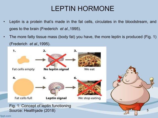 How Affordable GLP-1s Will Reshape Obesity Treatment In India