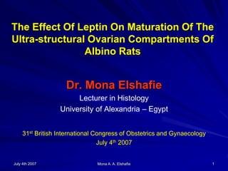 July 4th 2007 Mona A. A. Elshafie 1
The Effect Of Leptin On Maturation Of The
Ultra-structural Ovarian Compartments Of
Albino Rats
Dr. Mona Elshafie
Lecturer in Histology
University of Alexandria – Egypt
31st British International Congress of Obstetrics and Gynaecology
July 4th 2007
 