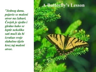 A Butterfly’s Lesson ” Jednog dana, pojavio se maleni otvor na čahuri. Čovjek je sjedio i gledao kako se leptir nekoliko sati muči da bi izvukao svoje slabašno tijelo kroz taj maleni otvor.  