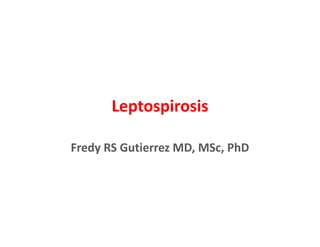 Leptospirosis
Fredy RS Gutierrez MD, MSc, PhD
 
