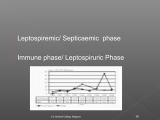  Leptospiremic/ Septicaemic phase 
 Immune phase/ Leptospiruric Phase 
J.N. Medical College, Belgaum 36 
 
