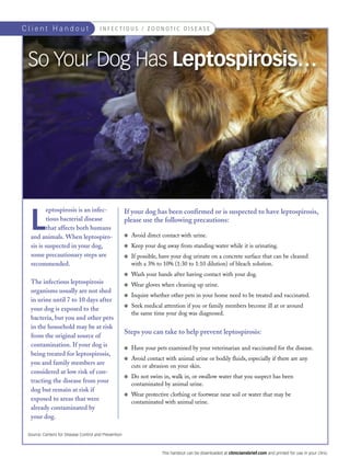 Client Handout                         I N F E C T I O U S / Z O O N OT I C D I S E A S E




 So Your Dog Has Leptospirosis…




  L
          eptospirosis is an infec-                   If your dog has been confirmed or is suspected to have leptospirosis,
          tious bacterial disease                     please use the following precautions:
          that affects both humans
  and animals. When leptospiro-                       G   Avoid direct contact with urine.
  sis is suspected in your dog,                       G   Keep your dog away from standing water while it is urinating.
  some precautionary steps are                        G   If possible, have your dog urinate on a concrete surface that can be cleaned
  recommended.                                            with a 3% to 10% (1:30 to 1:10 dilution) of bleach solution.
                                                      G   Wash your hands after having contact with your dog.
  The infectious leptospirosis                        G   Wear gloves when cleaning up urine.
  organisms usually are not shed
                                                      G   Inquire whether other pets in your home need to be treated and vaccinated.
  in urine until 7 to 10 days after
                                                      G   Seek medical attention if you or family members become ill at or around
  your dog is exposed to the
                                                          the same time your dog was diagnosed.
  bacteria, but you and other pets
  in the household may be at risk
                                                      Steps you can take to help prevent leptospirosis:
  from the original source of
  contamination. If your dog is                       G   Have your pets examined by your veterinarian and vaccinated for the disease.
  being treated for leptospirosis,
                                                      G   Avoid contact with animal urine or bodily fluids, especially if there are any
  you and family members are                              cuts or abrasion on your skin.
  considered at low risk of con-
                                                      G   Do not swim in, walk in, or swallow water that you suspect has been
  tracting the disease from your                          contaminated by animal urine.
  dog but remain at risk if
                                                      G   Wear protective clothing or footwear near soil or water that may be
  exposed to areas that were                              contaminated with animal urine.
  already contaminated by
  your dog.

 Source: Centers for Disease Control and Prevention



                                                                       This handout can be downloaded at cliniciansbrief.com and printed for use in your clinic.
 