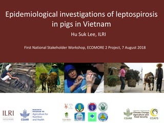 Epidemiological investigations of leptospirosis
in pigs in Vietnam
Hu Suk Lee, ILRI
First National Stakeholder Workshop, ECOMORE 2 Project, 7 August 2018
 