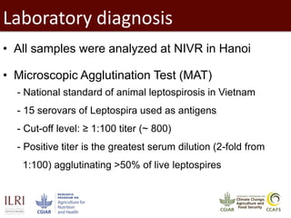Epidemiological investigations of leptospirosis in pigs in Vietnam